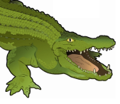 Picture of Crocodile Marketing Team